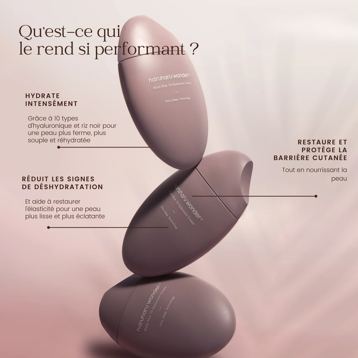 Crème hydratante hyaluronique Riz noir 10
