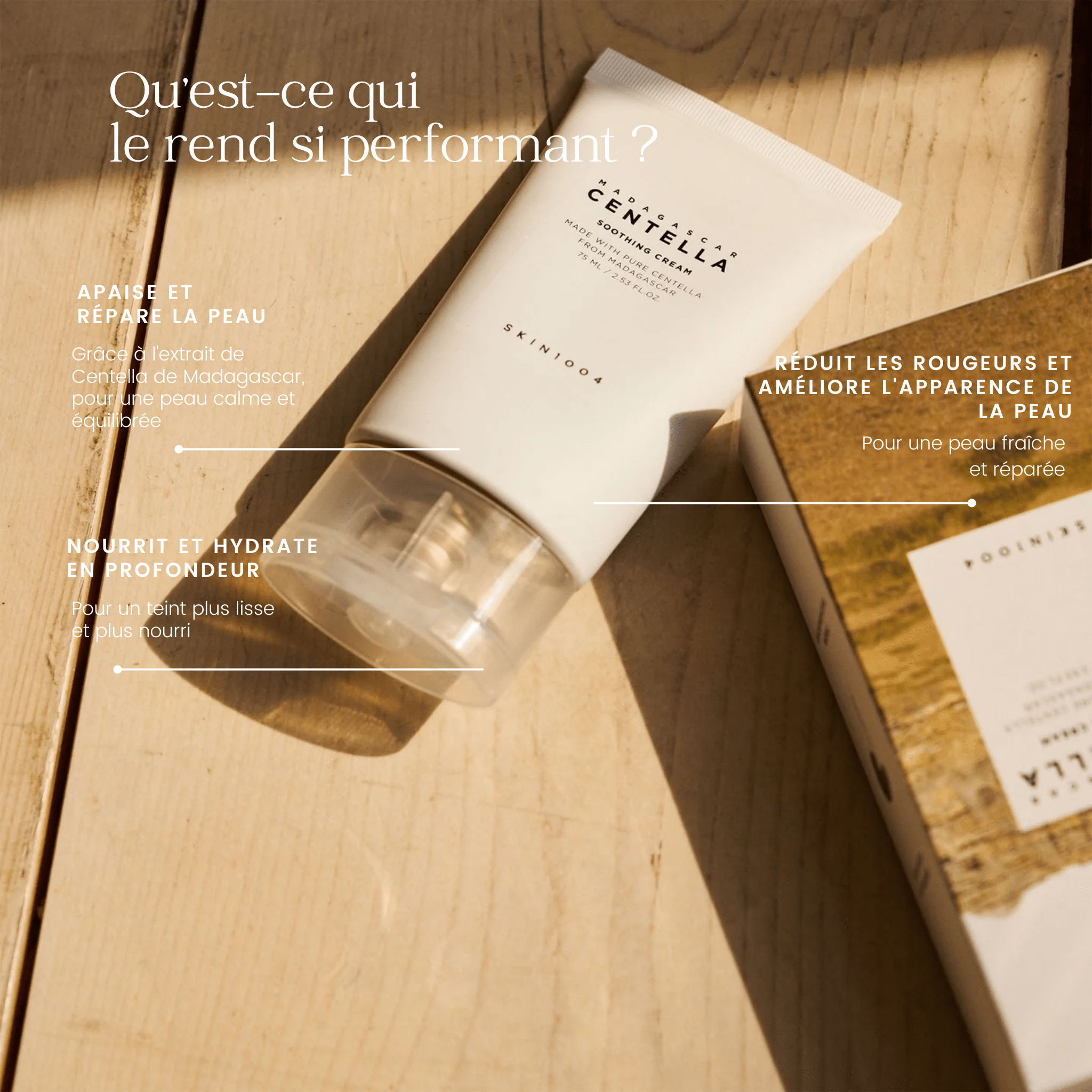 Coffret Centella de Madagascar de la marque SKIN1004